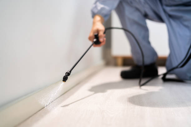 Certified termite inspector examining foundation in Red Bank