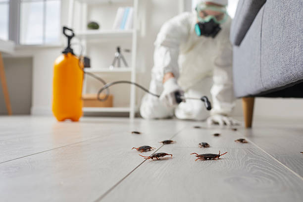 Commercial Rodent Management in Red Bank
